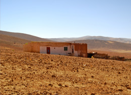 Breuckelen-Berber-Homestead.jpg